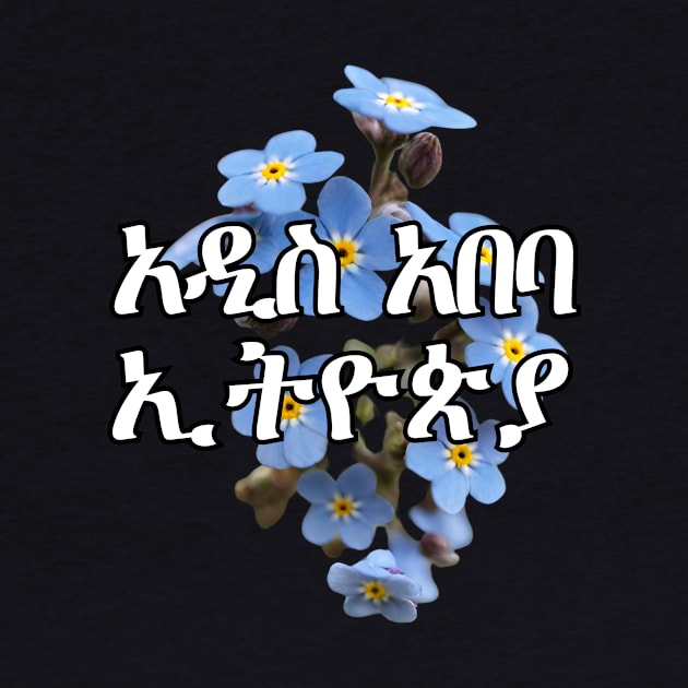 አዲስ አበባ ኢትዮጵያ by Amharic Avenue